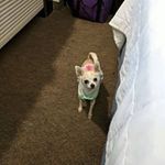 Mary Pickney - @mmp71959 - Instagram