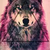 Mary Pier - @xxwitchxxqc - TikTok