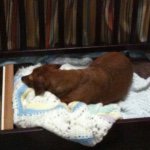 Mary Jane Watson Pilcher - @maddy_is_a_fatty - Instagram