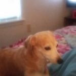 Mary Pilcher - @marypilcher - Instagram