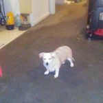 Mary Pilcher - @marypilcher3707 - Instagram