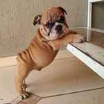 Mary Pilcher - @mmpilcher - Instagram