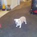 Mary Pilcher - Facebook