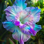 MaryJohn Pingel - Facebook