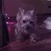 Mary Pinkowski - Facebook