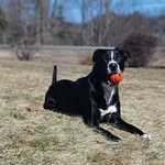 Mary Pinney - @mrau670 - Instagram