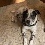 Mary A Gallagher Pittner - @mags12859 - Instagram