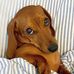 Mary Pitner - Facebook