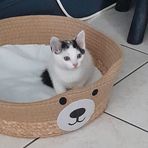 Maryse Plaisance - Facebook