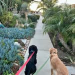 Mary Plate Carlsen - @beachboymama79 - Instagram