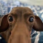 Mary Creasey - @maryplumbridge - Instagram