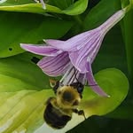 Mary Plumb - @mplumb302 - Instagram