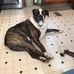 Mary Polhamus - Facebook