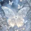 Mary Poll - @mary.poll7 - TikTok