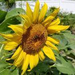 Mary Pothoven - @marypothoven - Instagram