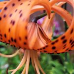 Mary Sternkopf Potratz - @potratzmary - Instagram