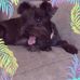 Mary Lue Potthast - Facebook