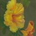Mary Potthast - Facebook