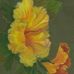 Mary Potthast - Facebook
