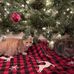 Mary Pounds - Facebook