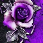 Mary Pounds - @marypounds - Instagram