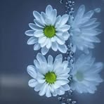 Mary Pretorius - Facebook