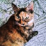 Mary Gaia Prevost - @prevostmary - Instagram