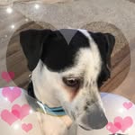 Mary Anne Pridgen - @pridgen130 - Instagram