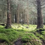 Mary Priestman - @priestman.mary - Instagram
