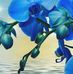 Mary Probus - Facebook