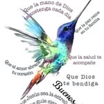 Mary Provoste - @maryprovoste - Instagram
