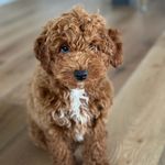 Mary - @mary_puffer231 - Instagram