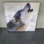 Mary Puffer - @mary.puffer.7 - Instagram