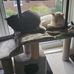 Mary Puffer - Facebook
