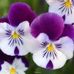 Mary Puffer - Facebook