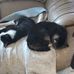 Mary Pullen - Facebook