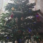 Mary Pullen - @minum_online - Instagram