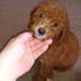 Mary Puterbaugh - Facebook