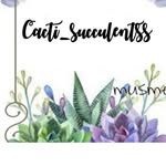 Mary  Quevedo - @cacti_succulentss - Instagram