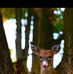 Mary Quill - Facebook