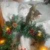 Mary Applequist - @mary.applequist - TikTok