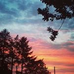 Mary Raleigh Hoysted - @maryhoysted - Instagram