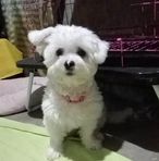 Maria Ramba - Facebook