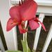 Mary Jane Rauscher - Facebook