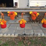Mary F Raybon - @maryfraybon - Instagram