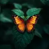 Mary Razo - @maryrazo972 - TikTok