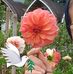 Mary Joy Recto - Facebook
