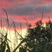 Mary Zillioux Reeser - Facebook