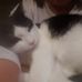 Mary Rehe - Facebook