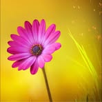 Mary Rehm - Facebook